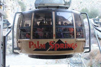Palm Springs Aerial Tramway in the Winter with Kids | @PSTramway @PalmSpringsCA #SpringBreak