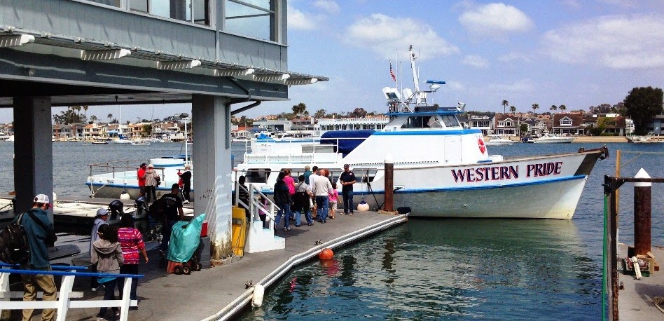 Ticket Giveaway: Newport Landing Whale Watching! | #NewportBeach @NewportWhales