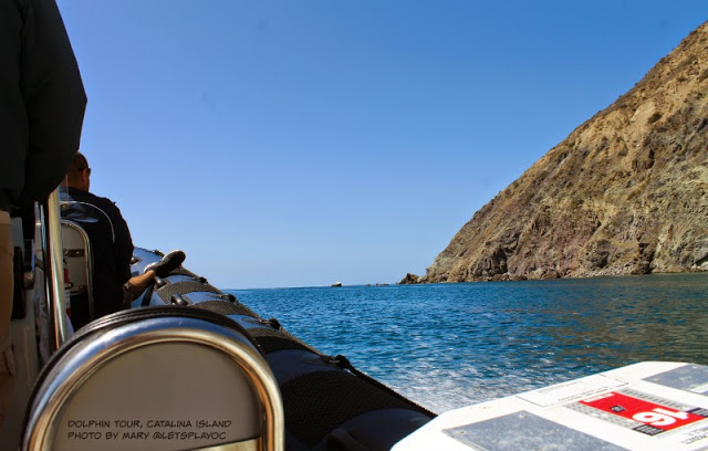 Adventures with Dolphin Quest Tour on Catalina Island | @VisitCatalina