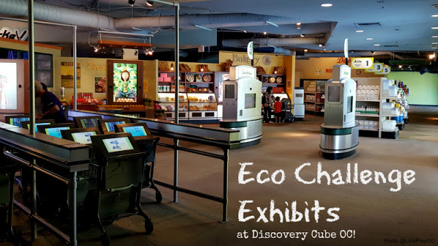 What’s Inside Discovery Cube OC’s ECO Challenge Exhibits?