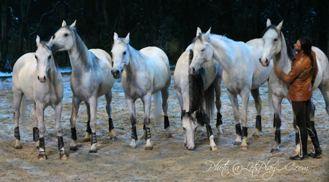 Show Review: Odysseo by Cavalia – Irvine, California #odysseoOC