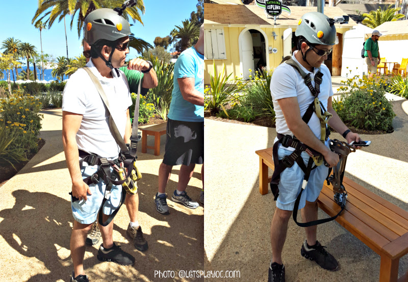 Catalina Island Zip Line Eco Tour #catalinaexpress #catalinaisland