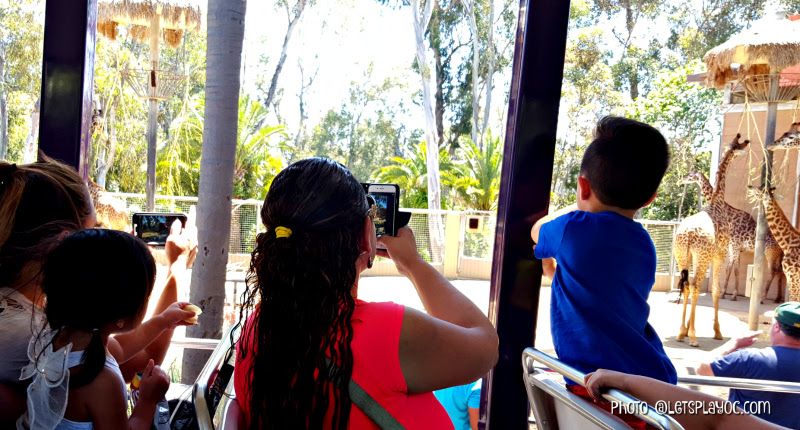 Discounted San Diego Zoo Tickets via Reserve Direct + Giveaway!