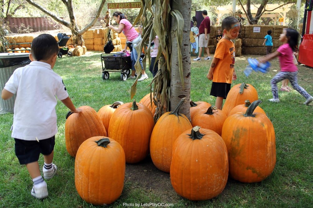 Halloween Events in LA/OC!