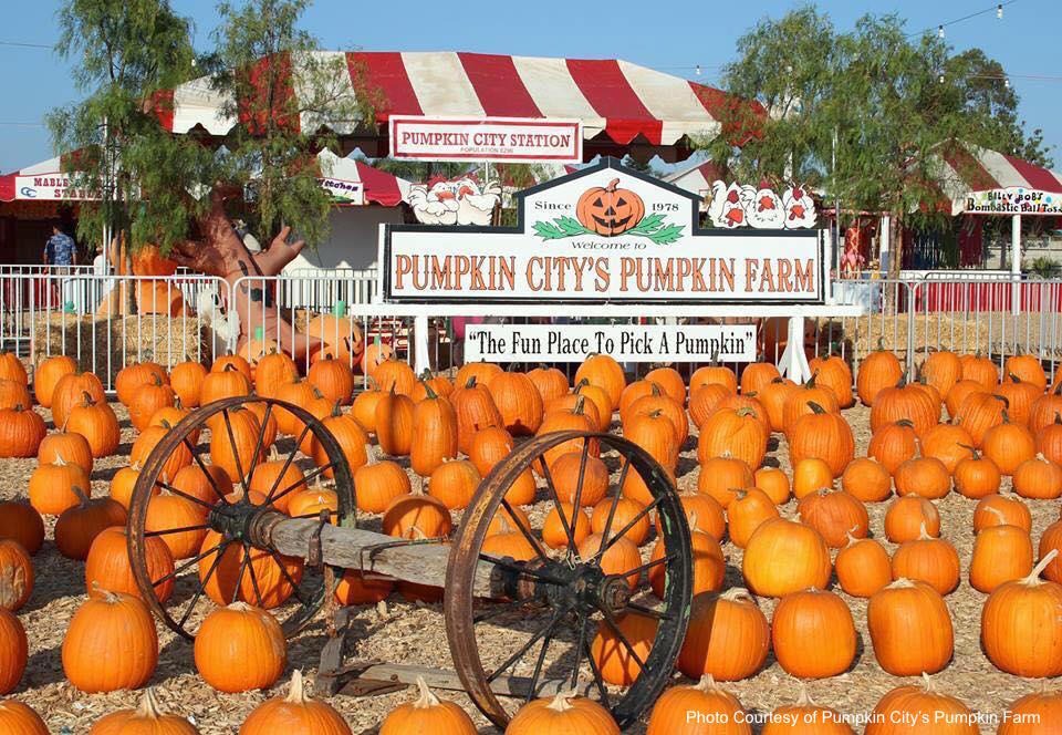 Top 4 Pumpkin Patches in Orange County! LET'S PLAY OC!